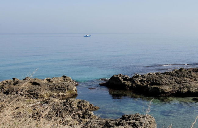 B&B Midiè - Foto 43