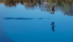 The Blue House Valley - Foto 5