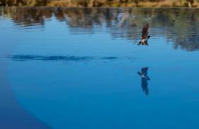 The Blue House Valley - Foto 5