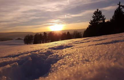 Thüringer Waldbaude - Foto 58