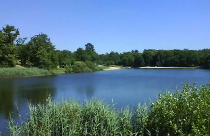 La Colline de Tilleul - Les Deux Puits - Cosy Cottage with swimming pool near Aubeterre - Foto 29