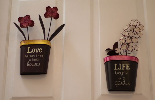 Your OWM INvicta - Foto 3