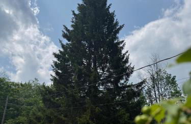 Luxury Mountain Villa - 3 bedroom, hot-tub, fire-pit - Foto 22