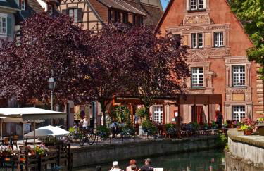 Landhaus-Apartment Feldbergblick - Foto 41