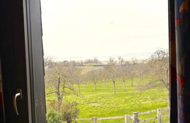 La Tourterelle - Domaine d'APREVAL - Campagne - Photo 17