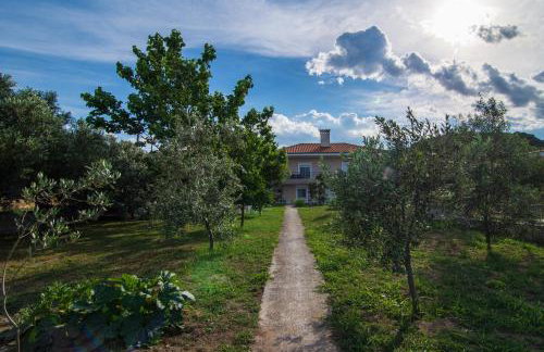 Kostas & Eleni Apartments - Foto 15