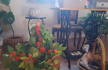 Apartman Bepo - Photo 13
