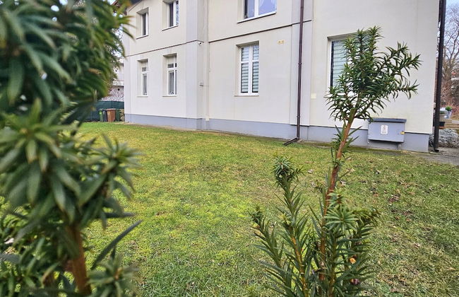 Studio Bajka - 365PAM - Foto 13