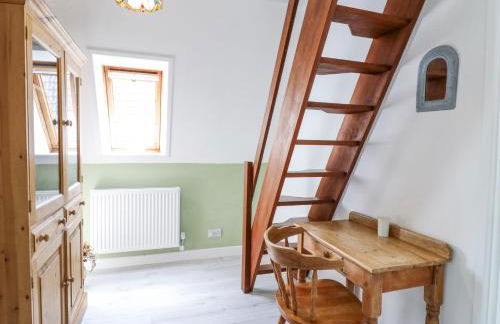 Kingfisher - Photo 19