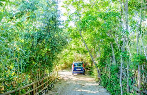 Villa Saline - Foto 75