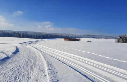 Ferienwohnung Schwarzwaldglück - Foto 51