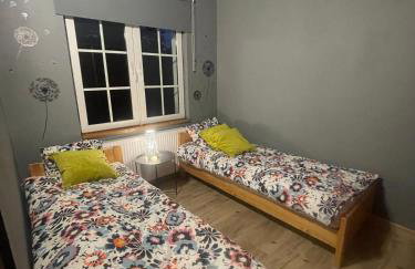 Dzika Foka Wiosłowa 49 - Photo 16