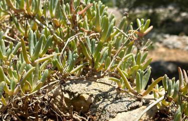 Villetta DaGré fronte mare - Foto 73