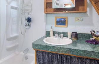 Douglas Island A-frame Cabin in the woods - Foto 16