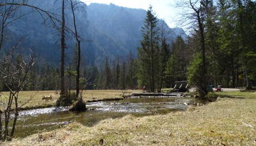 Ferienwohnung Frieda - Foto 5