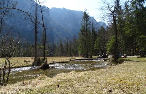 Ferienwohnung Frieda - Foto 5