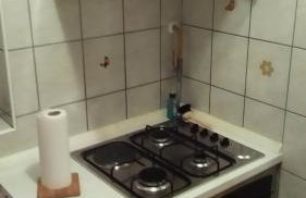 Apartmani MARIN-ŽUPANJA - Foto 65