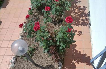 Il Giardino degli Ulivi - Foto 16