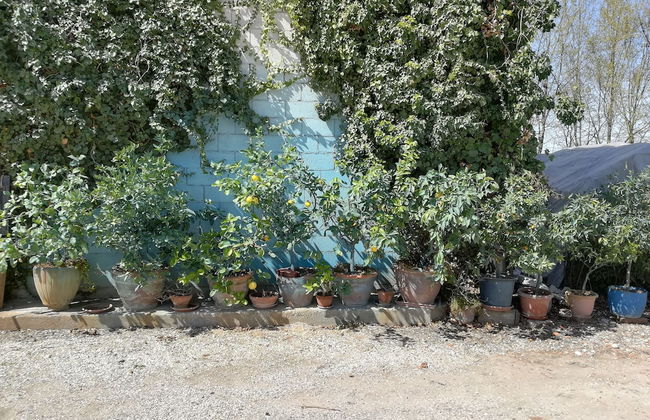 Agriturismo Loghino Sabbioni - Photo 32