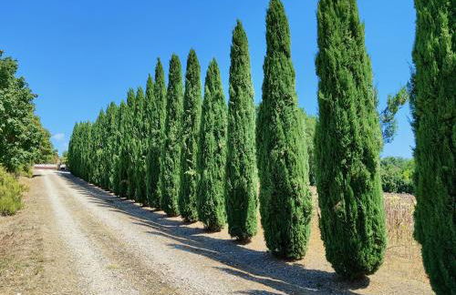 The Monastery - St Antimo - Foto 6