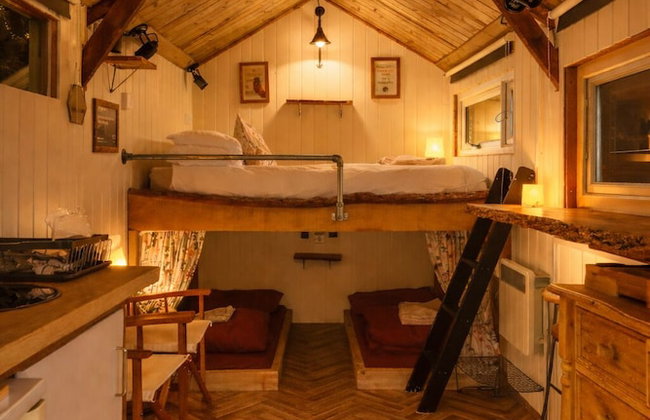 Dartmoor Reach Alpaca Farm - Foto 17