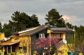 Casa da Oliveira - Foto 1