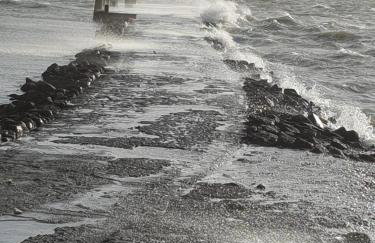 HaRe Ferienwohnungen - Foto 59