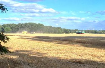 Ferienwohnung Wipperau I - Foto 38