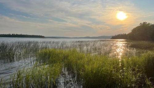 Waterfront Wildflower Cottage with Private Dock! - Foto 3