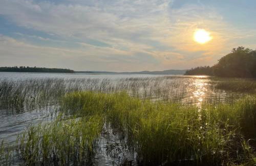 Waterfront Wildflower Cottage with Private Dock! - Foto 3