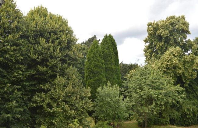 Spacious Place in Hamoir - Foto 37