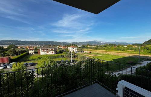 Dragonfly - Photo 13