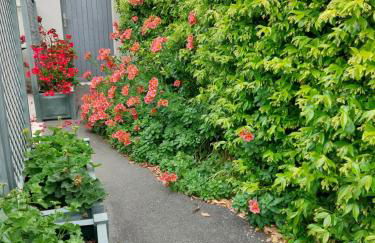 L'insulaire Studios - Foto 20