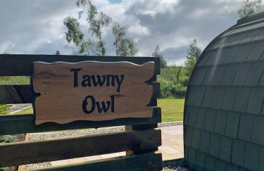 Tawny Owl Pod with Hot Tub - Foto 41