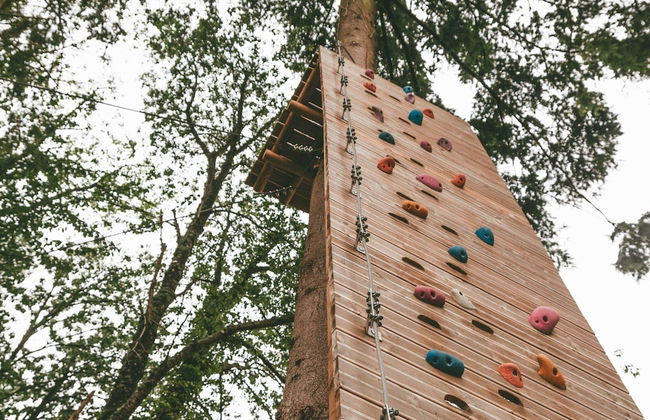 Modernly Furnished Cottage With Beautiful Terrace by a Lake - Foto 44