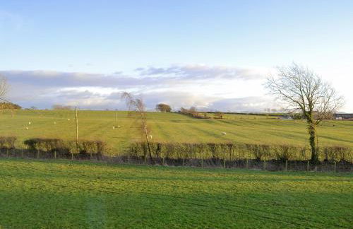 Little Meadow - Foto 20