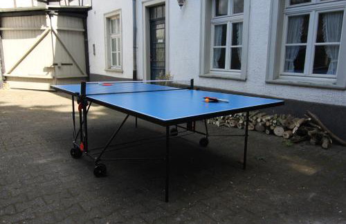 Historische Villa Herrenhaus Hellenthal - Photo 28