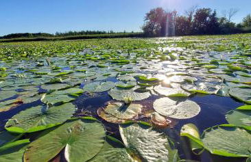 Beautiful 4+ bed 3 bath Condo 20 minutes to Madison - Foto 7