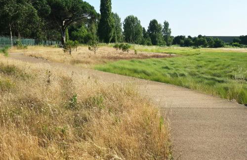 Villarmo cais - Foto 51