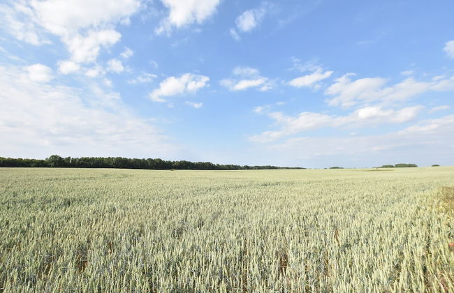 Comfortable Apartment in Quaint Holiday Village - Foto 58