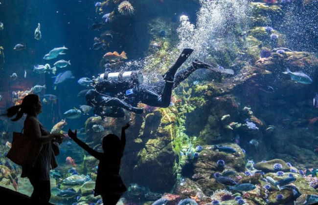 California Academy of Sciences Ticket - Photo 6