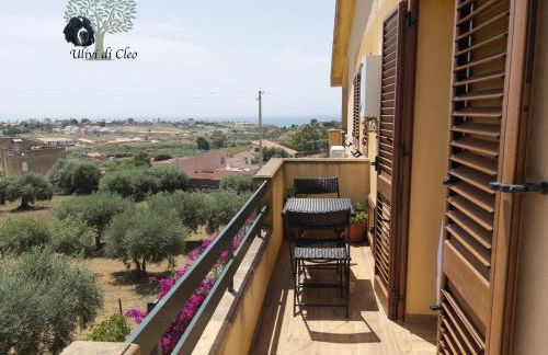 Ulivi di Cleo - Foto 15