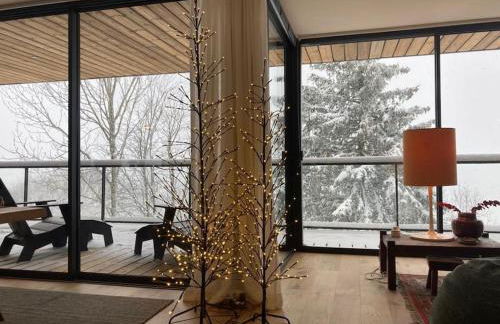 L'Avancée Chalet contemporain au coeur du Sancy AUVERGNE - Foto 11