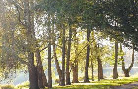 Gîte d'Anne et Ulysse - Foto 41