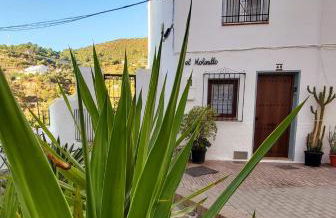 El Molinillo - Foto 6