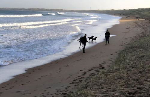 Historical North Cottage in Old Deer - Photo 42