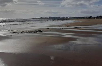 Kinneuchar Cottage - by Elie, Dog Friendly. - Foto 36