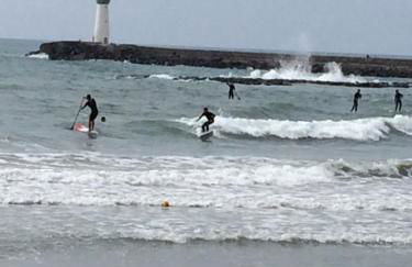 Le P’tit Littoral - Foto 11