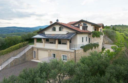 Zardo Winery - Foto 35