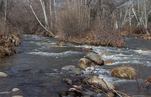 Tranquil Riverfront Studio - Foto 21